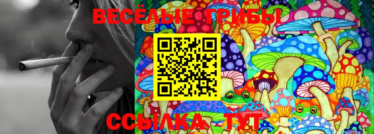 Псилоцибиновые грибы Magic Shrooms  Вход с VPN  Реутов 