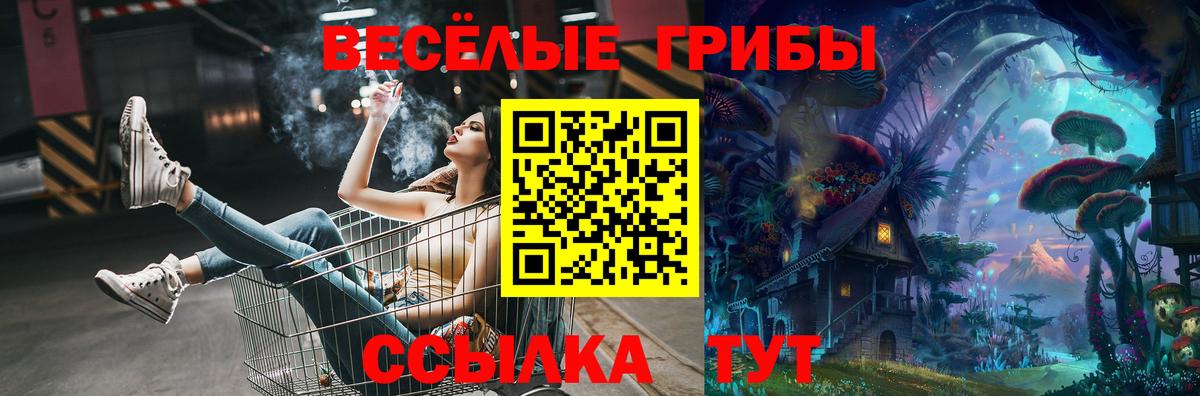 Псилоцибиновые грибы ЛСД Реутов